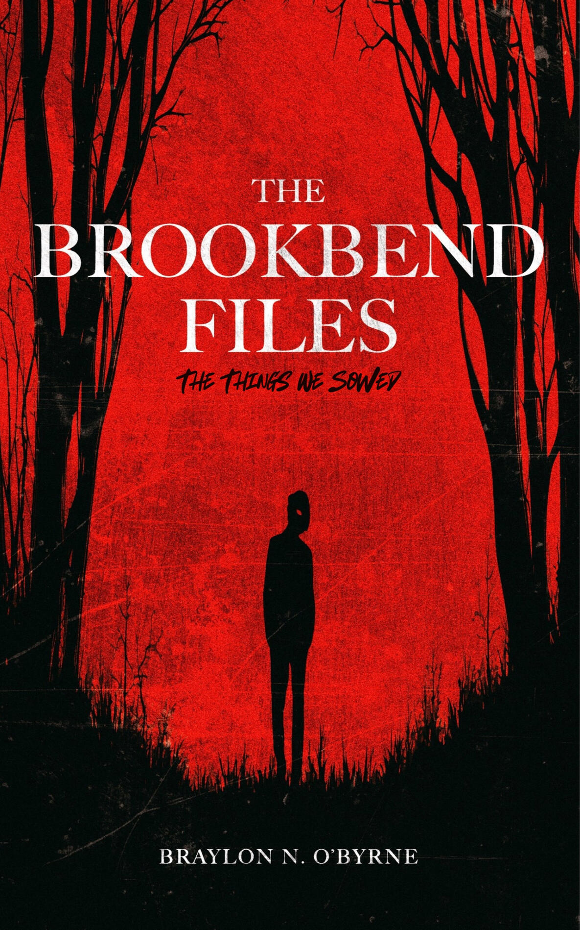 The BrookBend Files Cover